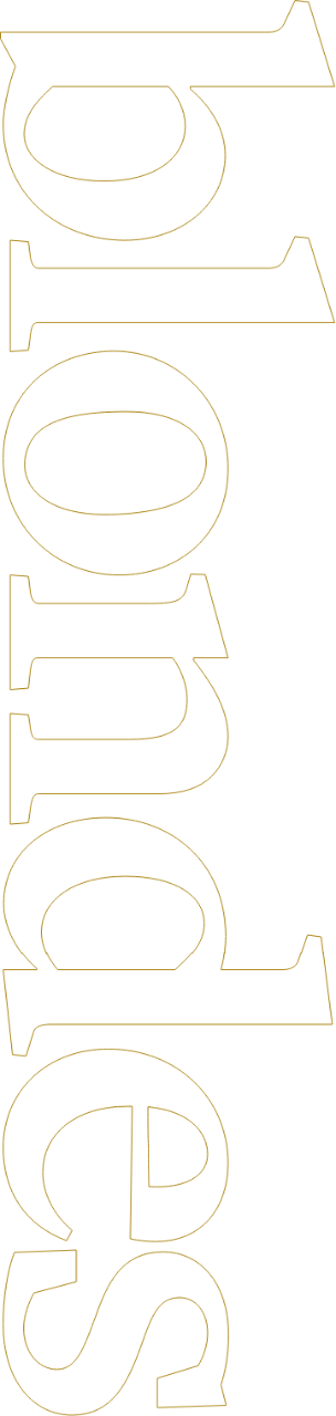 Blondes vertical graphic in gold outline